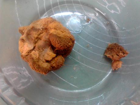 參芪猴菇燉雞的做法-咸鮮味燉菜譜