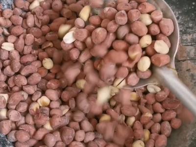 鹽爆花生米的做法-五香味炒菜譜