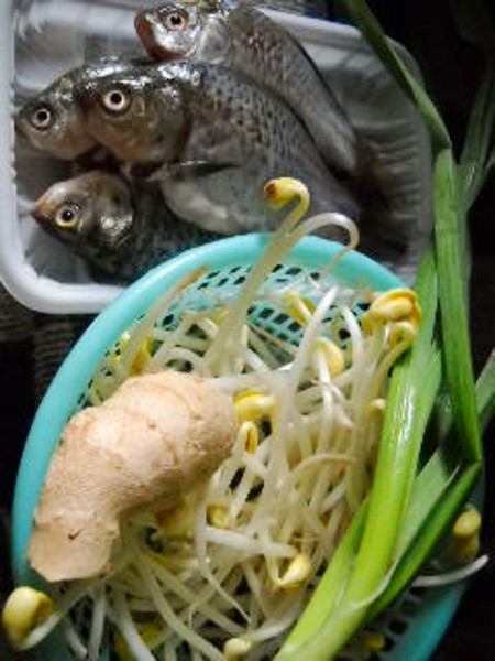 豆芽燒鯽魚(yú)的做法-咸鮮味燒菜譜