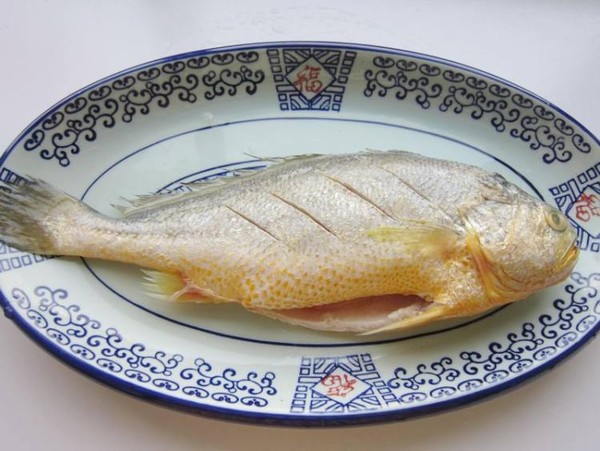 蔥油黃花魚的做法-家常味蒸菜譜-易網健康養生網 蔥油黃花魚的做法-家常味蒸菜譜