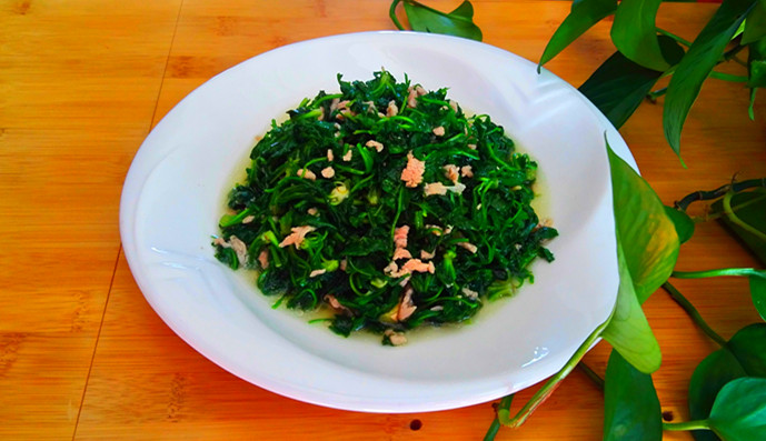 薺菜炒肉絲的做法-咸鮮味炒菜譜-易網健康養生網 薺菜炒肉絲的做法-咸鮮味炒菜譜