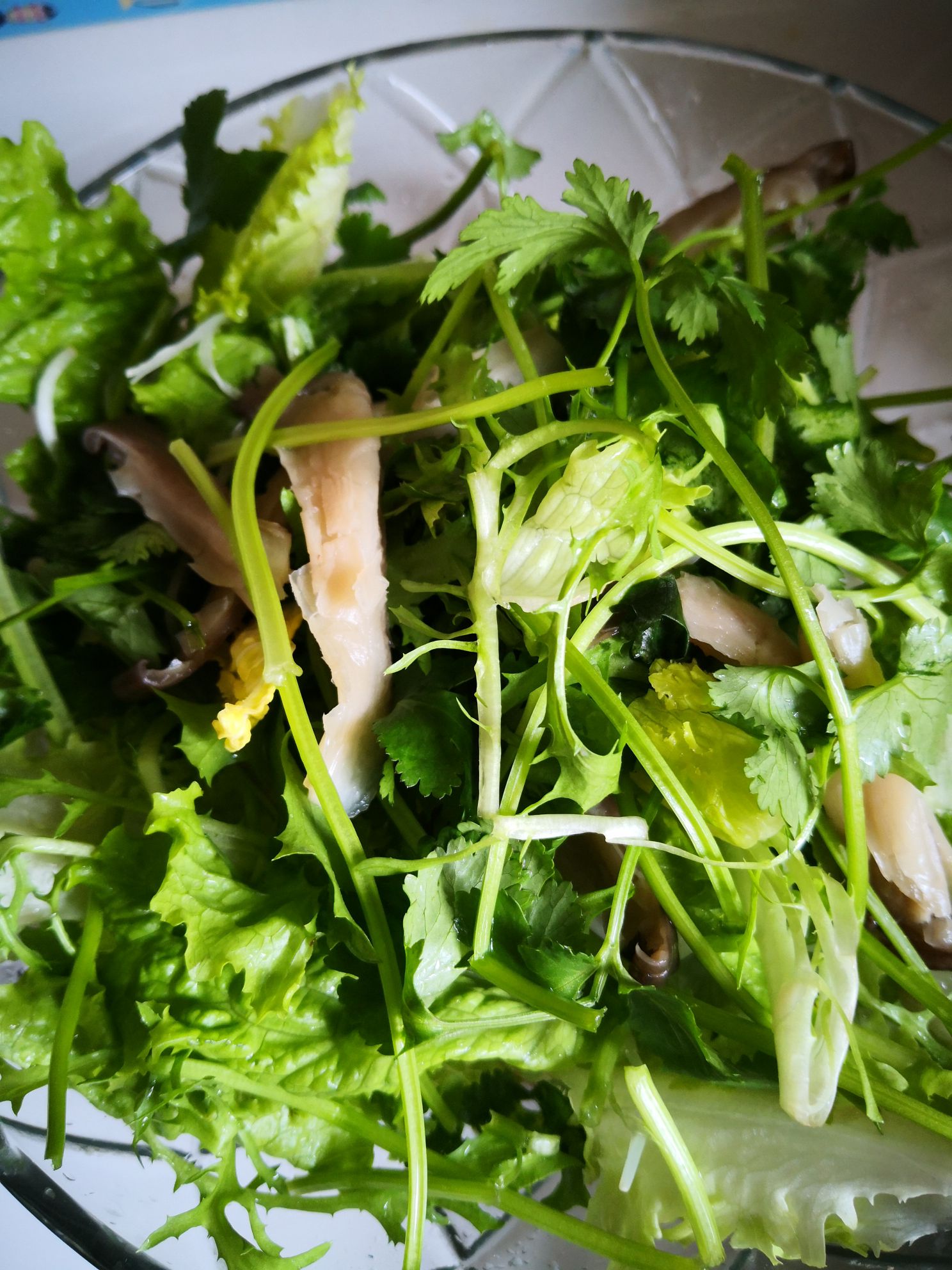 孜然炒生菜的做法-其它口味炒菜譜-易網<a href=http://www.xllyou.com/ target=_blank class=infotextkey>健康養生</a>網 孜然炒生菜的做法-其它口味炒菜譜