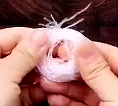 鴻運沖天蝦的做法-蒜香味蒸菜譜-易網健康養生網 鴻運沖天蝦的做法-蒜香味蒸菜譜