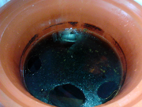 杜仲牛尾湯的做法-咸鮮味燉菜譜-易網健康養生網 杜仲牛尾湯的做法-咸鮮味燉菜譜