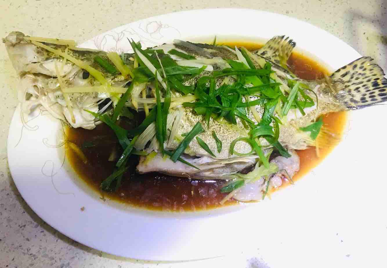 清蒸石斑魚的做法-家常味蒸菜譜