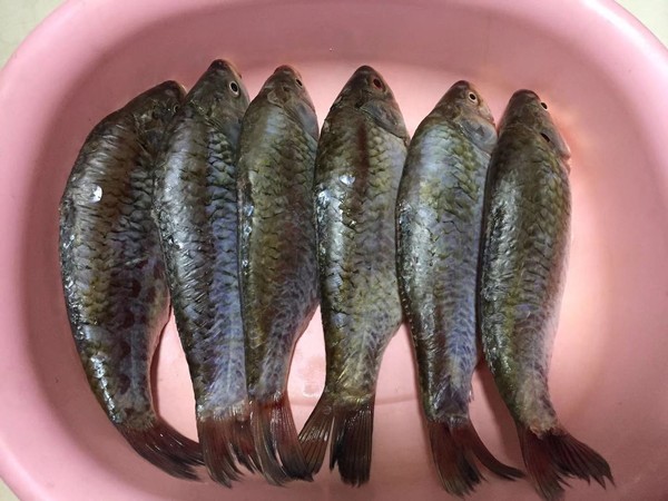 酥魚的做法-咸鮮味煮菜譜-易網<a href=http://www.xllyou.com/ target=_blank class=infotextkey>健康養生</a>網 酥魚的做法-咸鮮味煮菜譜