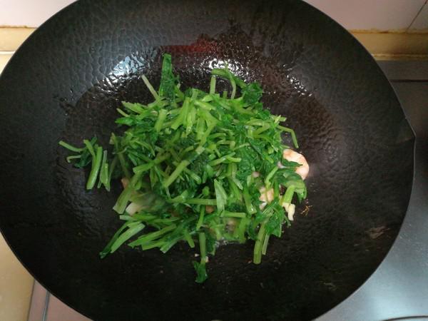 小白菜炒蝦仁的做法-家常味炒菜譜-易網(wǎng)健康養(yǎng)生網(wǎng) 小白菜炒蝦仁的做法-家常味炒菜譜