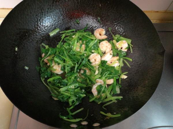 小白菜炒蝦仁的做法-家常味炒菜譜-易網(wǎng)健康養(yǎng)生網(wǎng) 小白菜炒蝦仁的做法-家常味炒菜譜