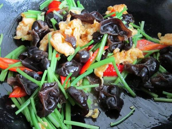 毛芹木耳炒雞蛋的做法-家常味炒菜譜-易網健康養生網 毛芹木耳炒雞蛋的做法-家常味炒菜譜