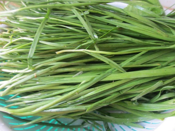 素餡蒸餃的做法-咸鮮味蒸菜譜-易網健康養生網 素餡蒸餃的做法-咸鮮味蒸菜譜