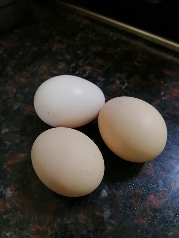 白飯魚煎蛋的做法-家常味煎菜譜-易網健康養生網 白飯魚煎蛋的做法-家常味煎菜譜