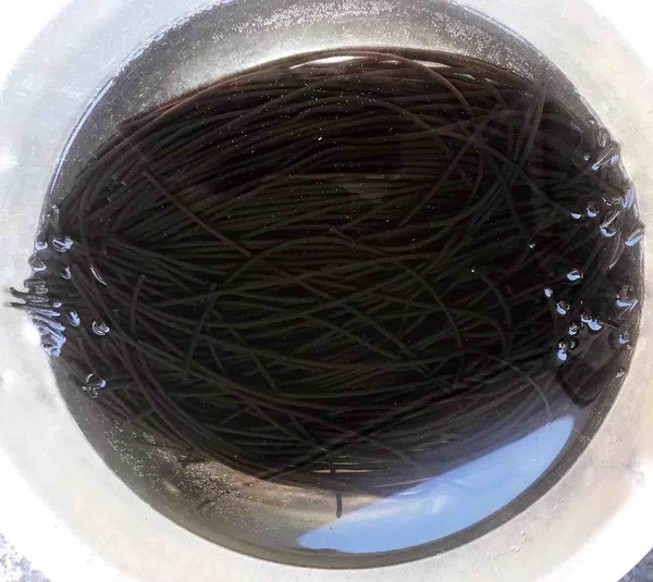 麻辣蕨根粉的做法-麻辣味拌菜譜