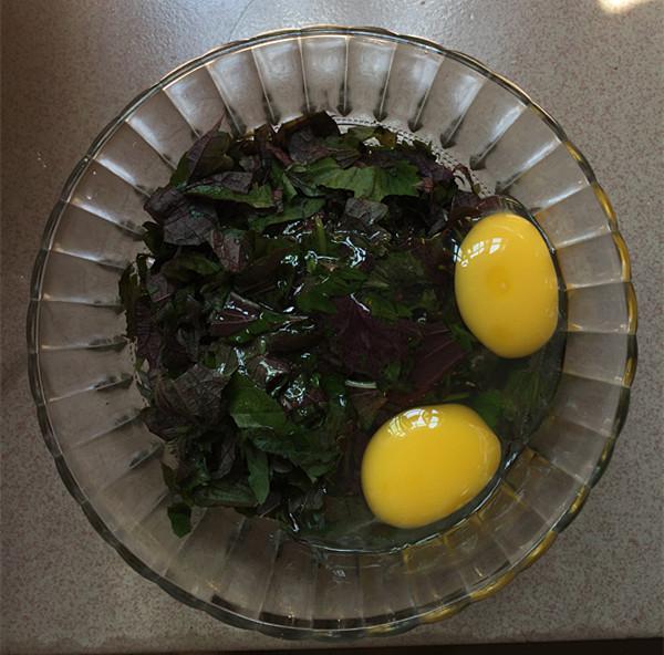 紫蘇煎雞蛋的做法-家常味煎菜譜-易網(wǎng)健康養(yǎng)生網(wǎng) 紫蘇煎雞蛋的做法-家常味煎菜譜