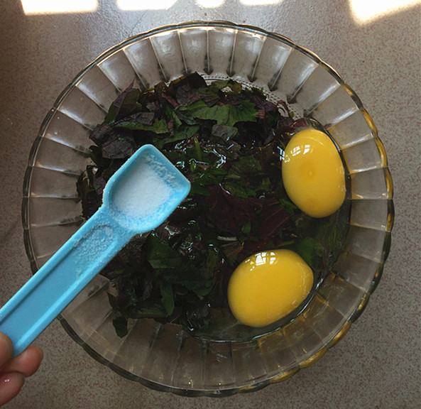 紫蘇煎雞蛋的做法-家常味煎菜譜-易網(wǎng)健康養(yǎng)生網(wǎng) 紫蘇煎雞蛋的做法-家常味煎菜譜