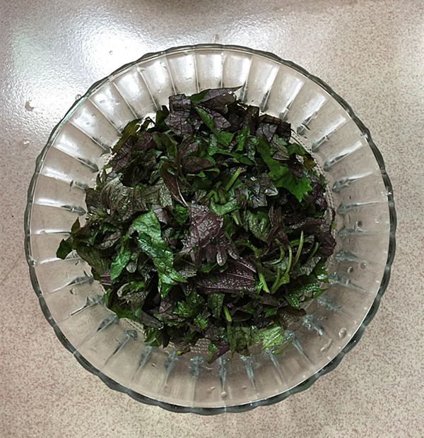 紫蘇煎雞蛋的做法-家常味煎菜譜-易網(wǎng)健康養(yǎng)生網(wǎng) 紫蘇煎雞蛋的做法-家常味煎菜譜