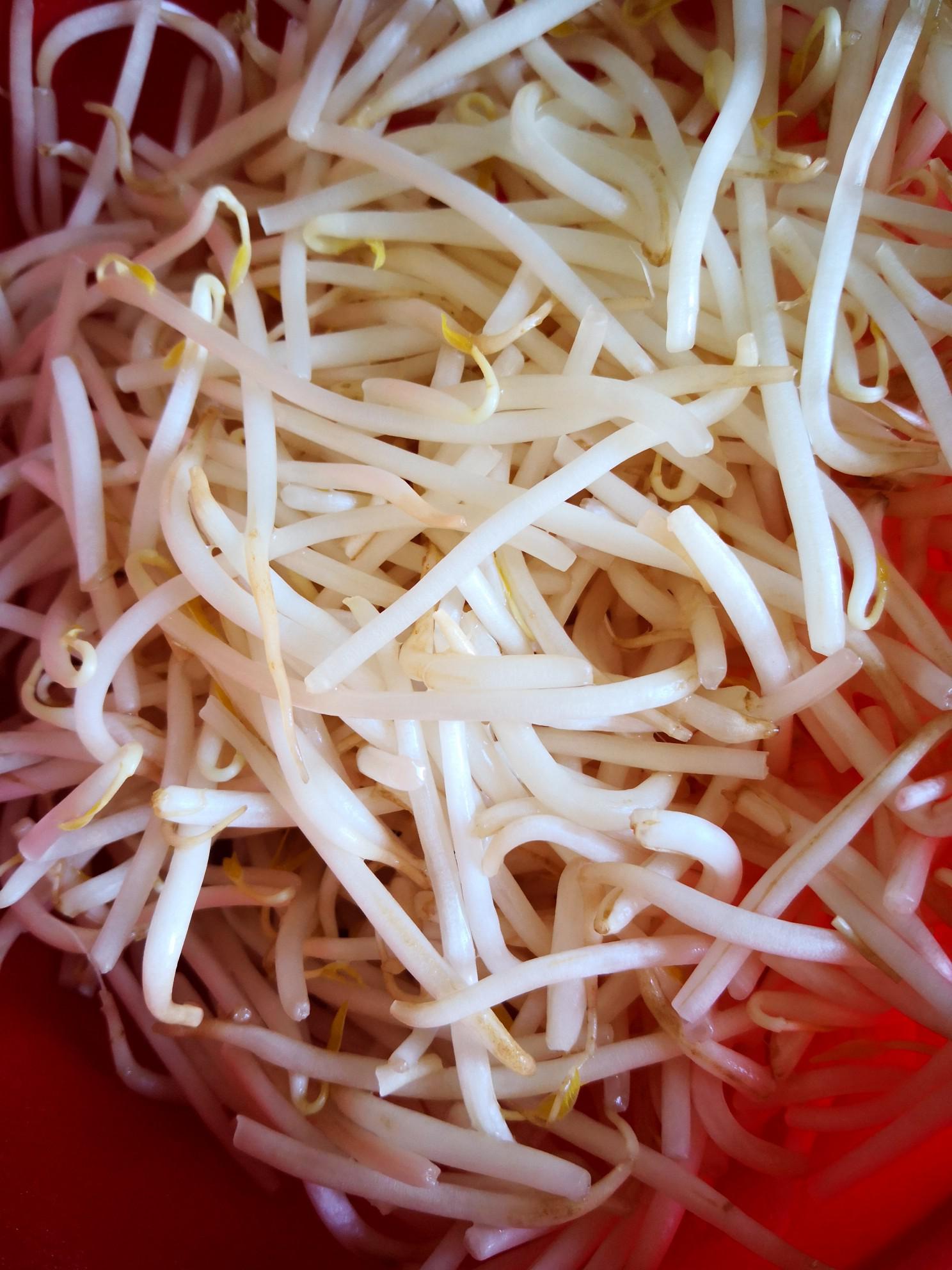 豆芽炒木耳的做法-家常味炒菜譜-易網(wǎng)<a href=http://www.xllyou.com/ target=_blank class=infotextkey>健康養(yǎng)生</a>網(wǎng) 豆芽炒木耳的做法-家常味炒菜譜