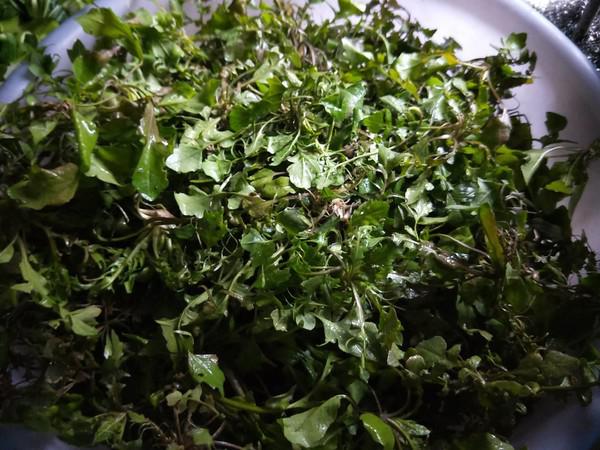 筍丁咸肉炒薺菜的做法-咸鮮味炒菜譜