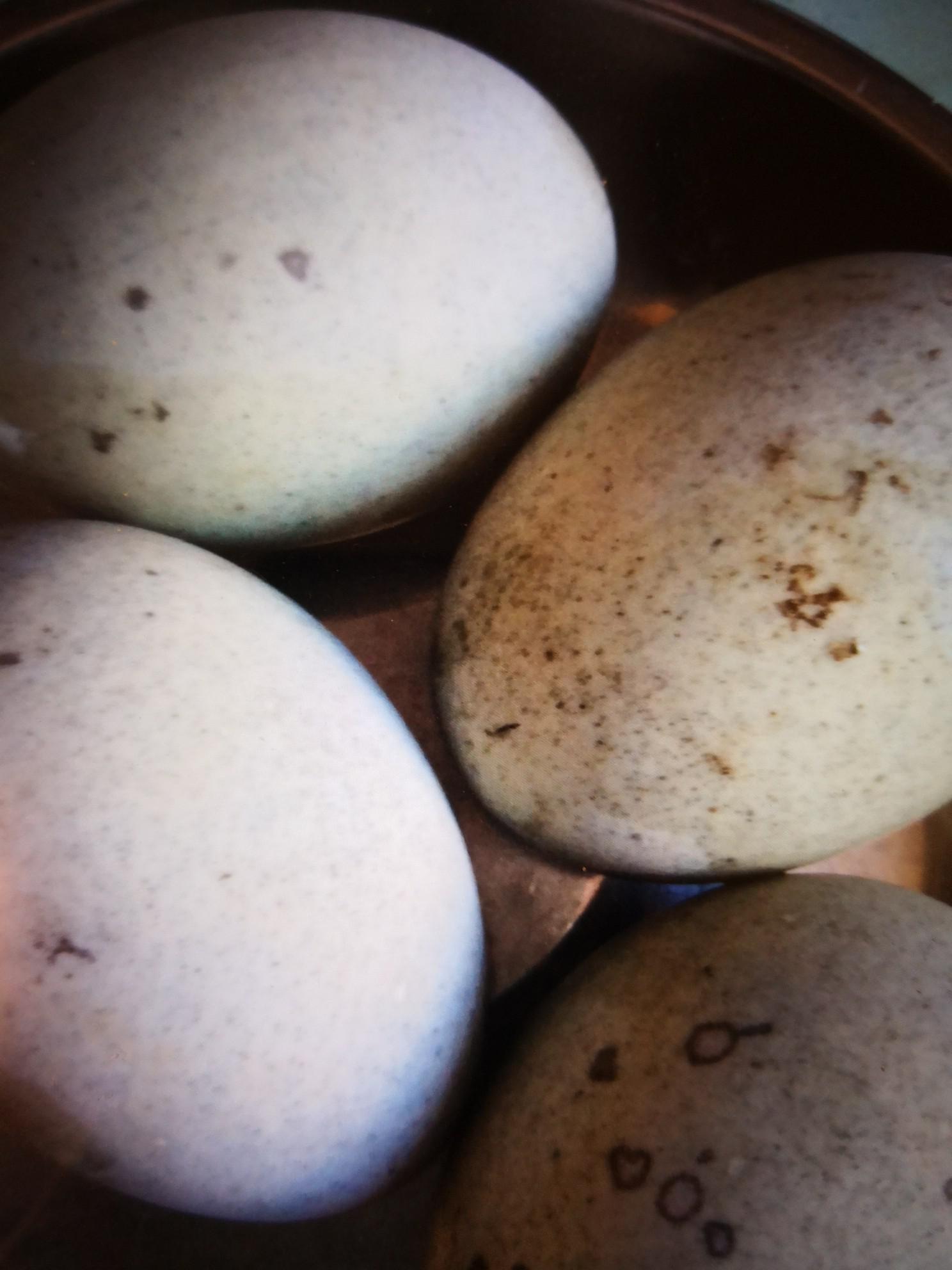 澆汁松花蛋的做法-酸甜味拌菜譜-易網<a href=http://www.xllyou.com/ target=_blank class=infotextkey>健康養生</a>網 澆汁松花蛋的做法-酸甜味拌菜譜