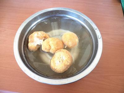 猴頭菇煲雞湯的做法-咸鮮味煲菜譜