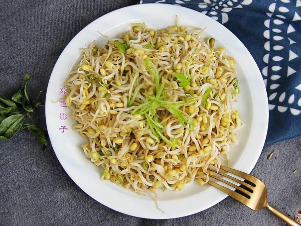 自家發的綠豆芽的做法-家常味炒菜譜