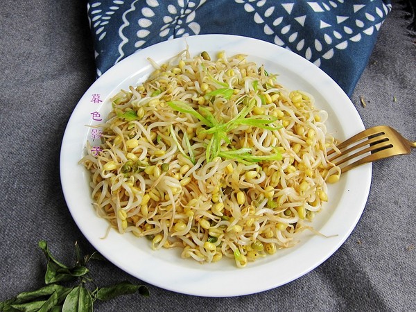 自家發的綠豆芽的做法-家常味炒菜譜