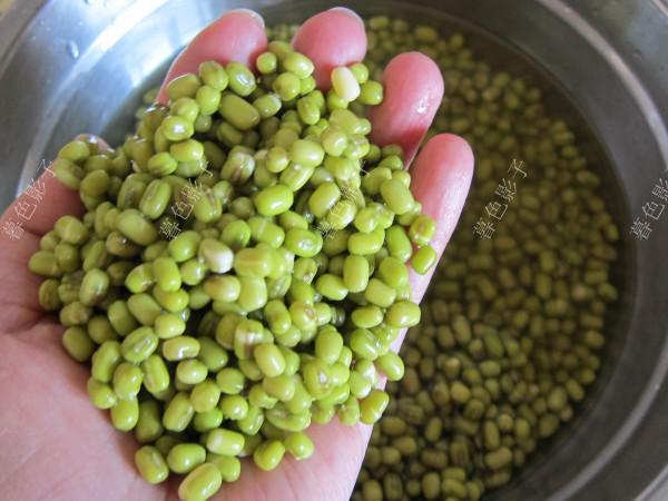 自家發的綠豆芽的做法-家常味炒菜譜