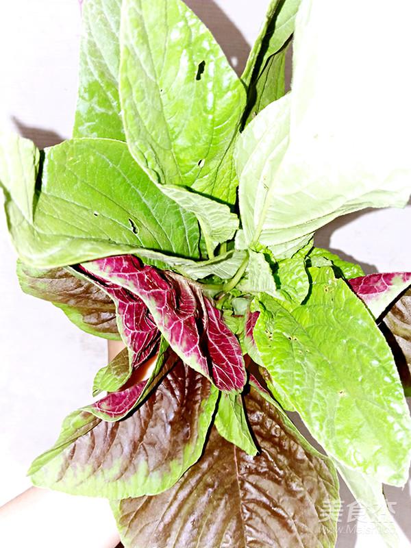 野莧菜這樣做既有營養又好吃哦的做法-家常味炒菜譜-易網健康養生網 野莧菜這樣做既有營養又好吃哦的做法-家常味炒菜譜