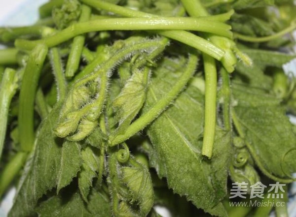 南瓜苗瘦肉湯的做法-咸鮮味煮菜譜-易網<a href=http://www.xllyou.com/ target=_blank class=infotextkey>健康養生</a>網 南瓜苗瘦肉湯的做法-咸鮮味煮菜譜