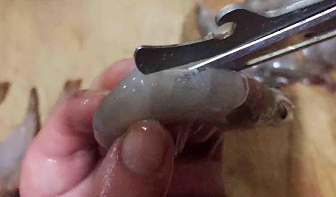 蒜蓉海蝦蒸金針菇的做法-家常味蒸菜譜