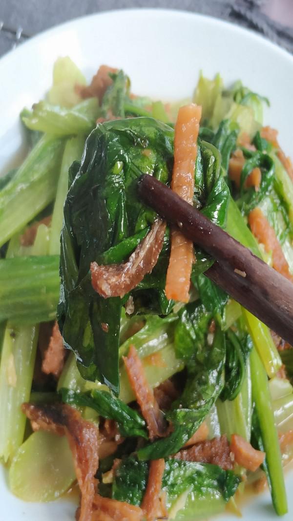 魚罐頭炒油麥菜的做法-咸鮮味炒菜譜