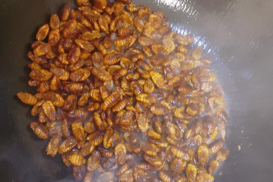 炒蠶蛹的做法-家常味炒菜譜-易網健康養生網 炒蠶蛹的做法-家常味炒菜譜