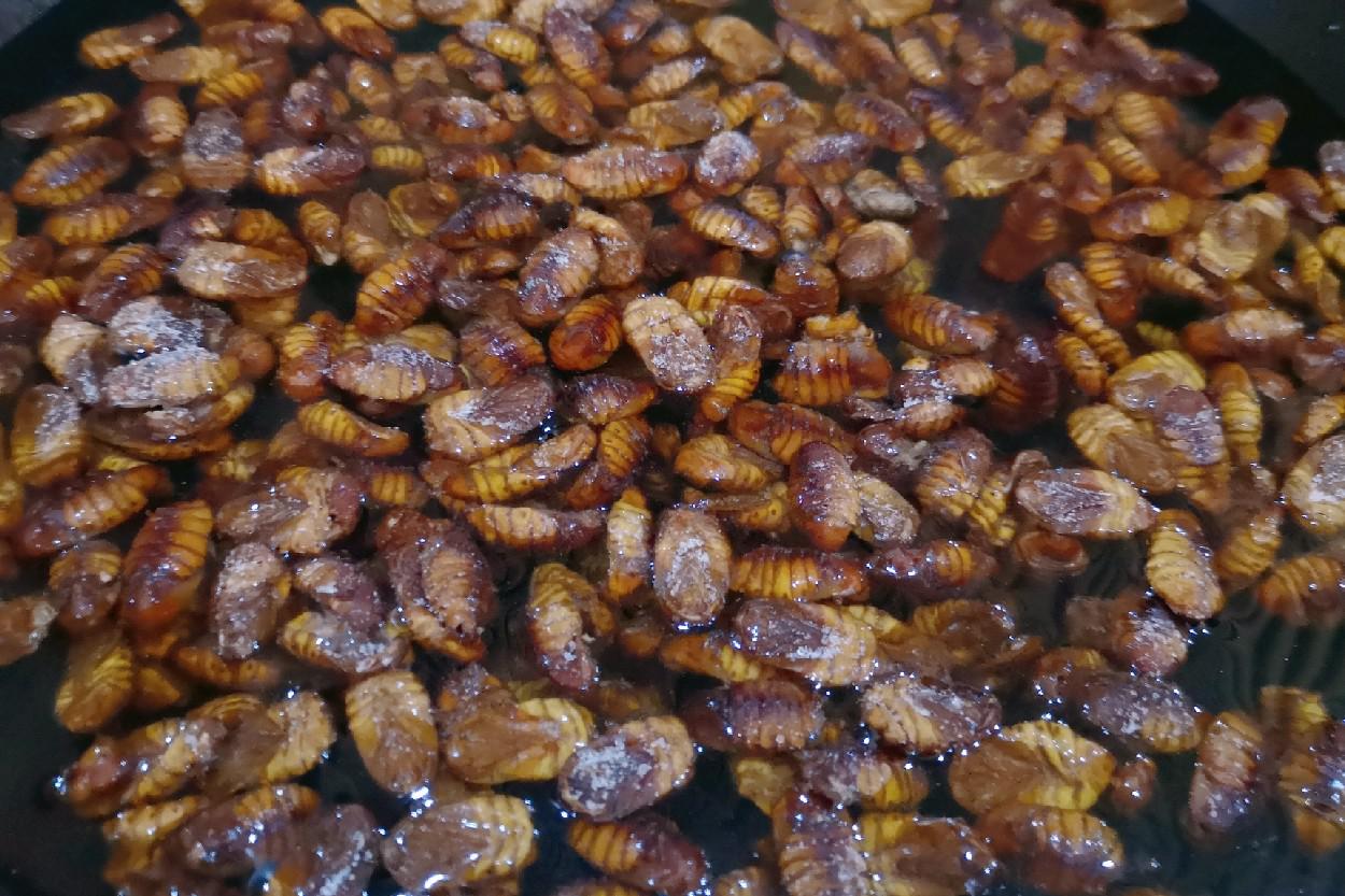 炒蠶蛹的做法-家常味炒菜譜-易網<a href=http://www.xllyou.com/ target=_blank class=infotextkey>健康養生</a>網 炒蠶蛹的做法-家常味炒菜譜