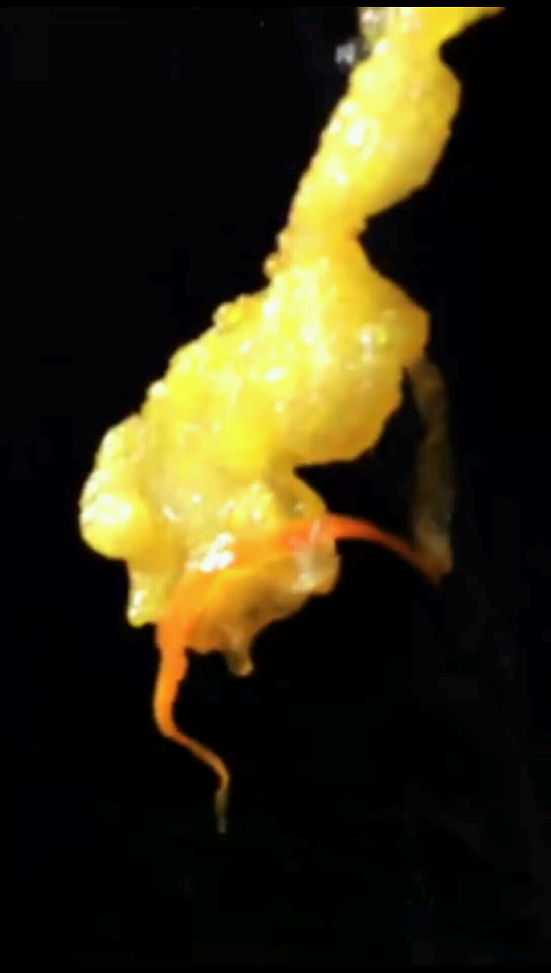 鍋包魚(yú)片的做法-酸甜味炸菜譜