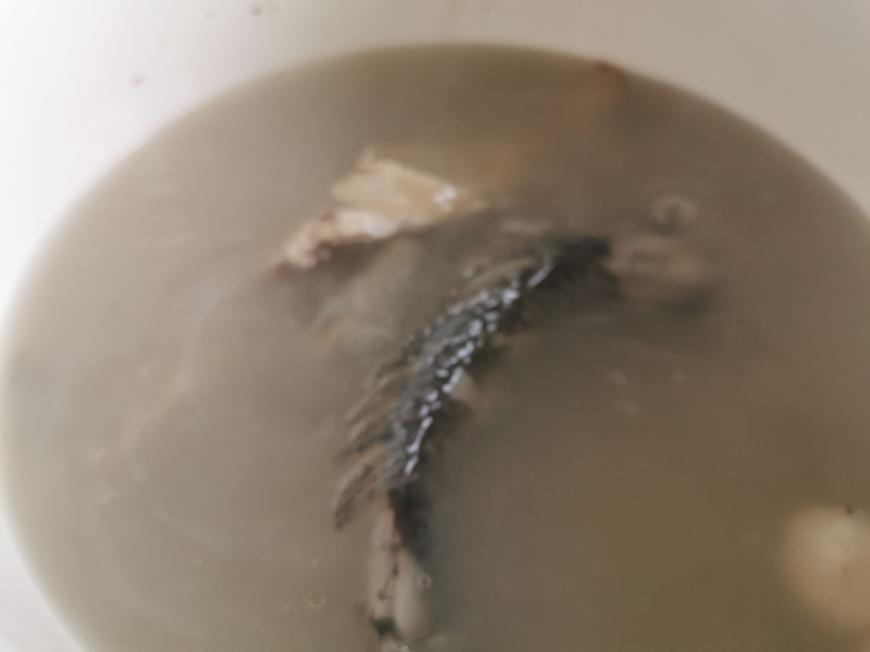 鯽魚豆腐湯的做法-家常味燉菜譜-易網健康養生網 鯽魚豆腐湯的做法-家常味燉菜譜