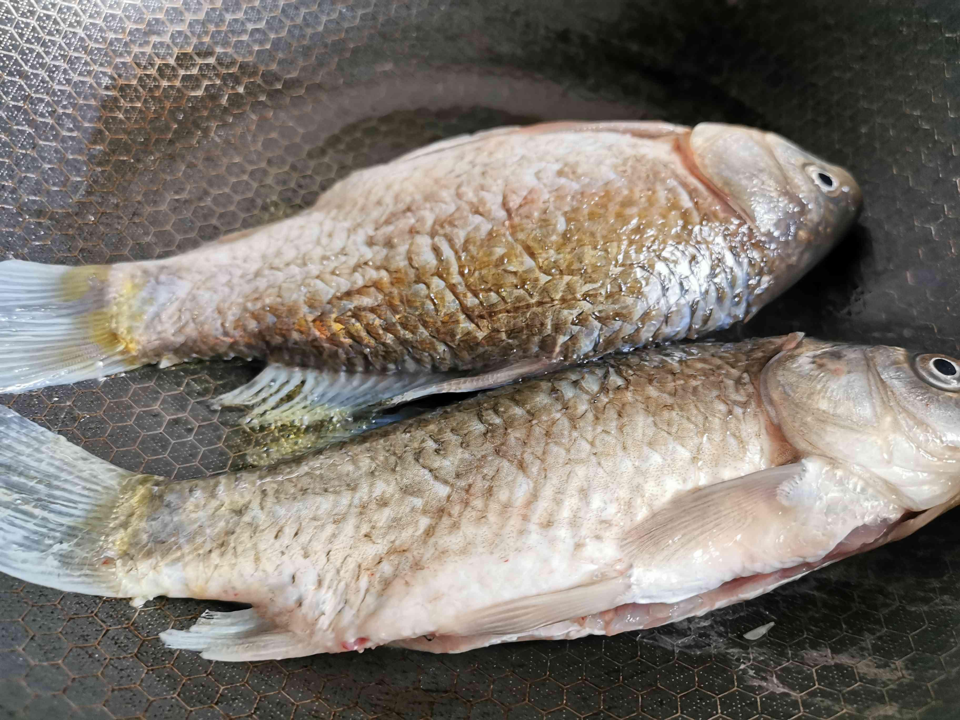 鯽魚豆腐湯的做法-家常味燉菜譜-易網健康養生網 鯽魚豆腐湯的做法-家常味燉菜譜
