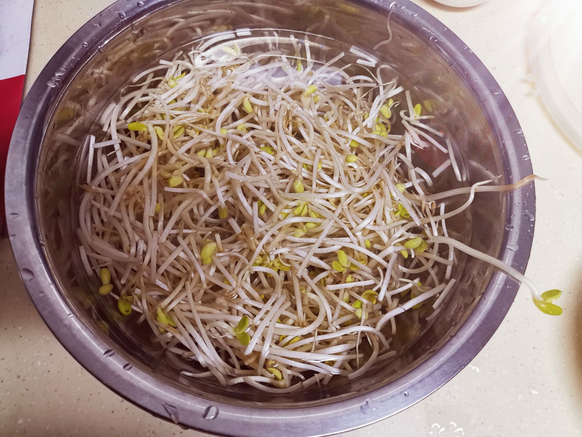 醋溜黃豆芽的做法-家常味炒菜譜-易網<a href=http://www.xllyou.com/ target=_blank class=infotextkey>健康養生</a>網 醋溜黃豆芽的做法-家常味炒菜譜