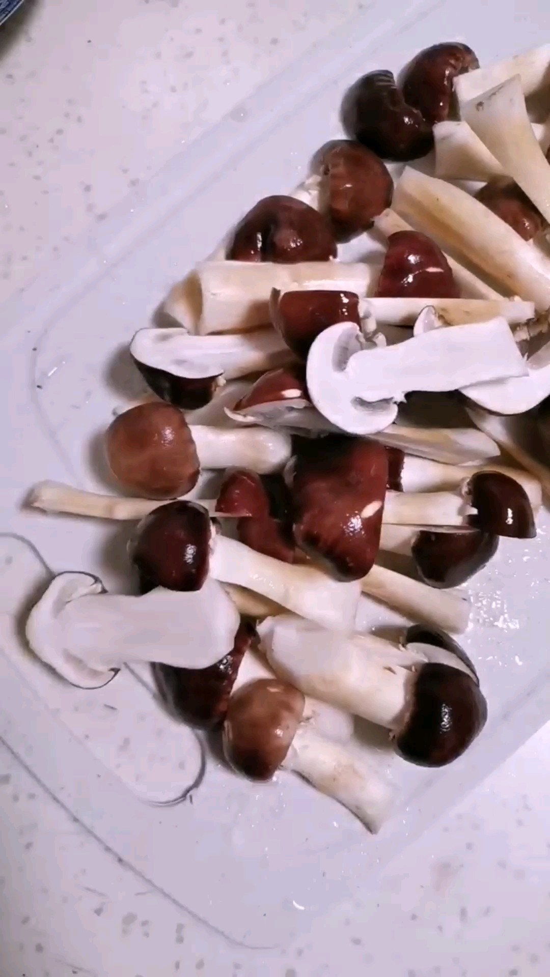 干煸松茸的做法-家常味煎菜譜-易網健康養生網 干煸松茸的做法-家常味煎菜譜