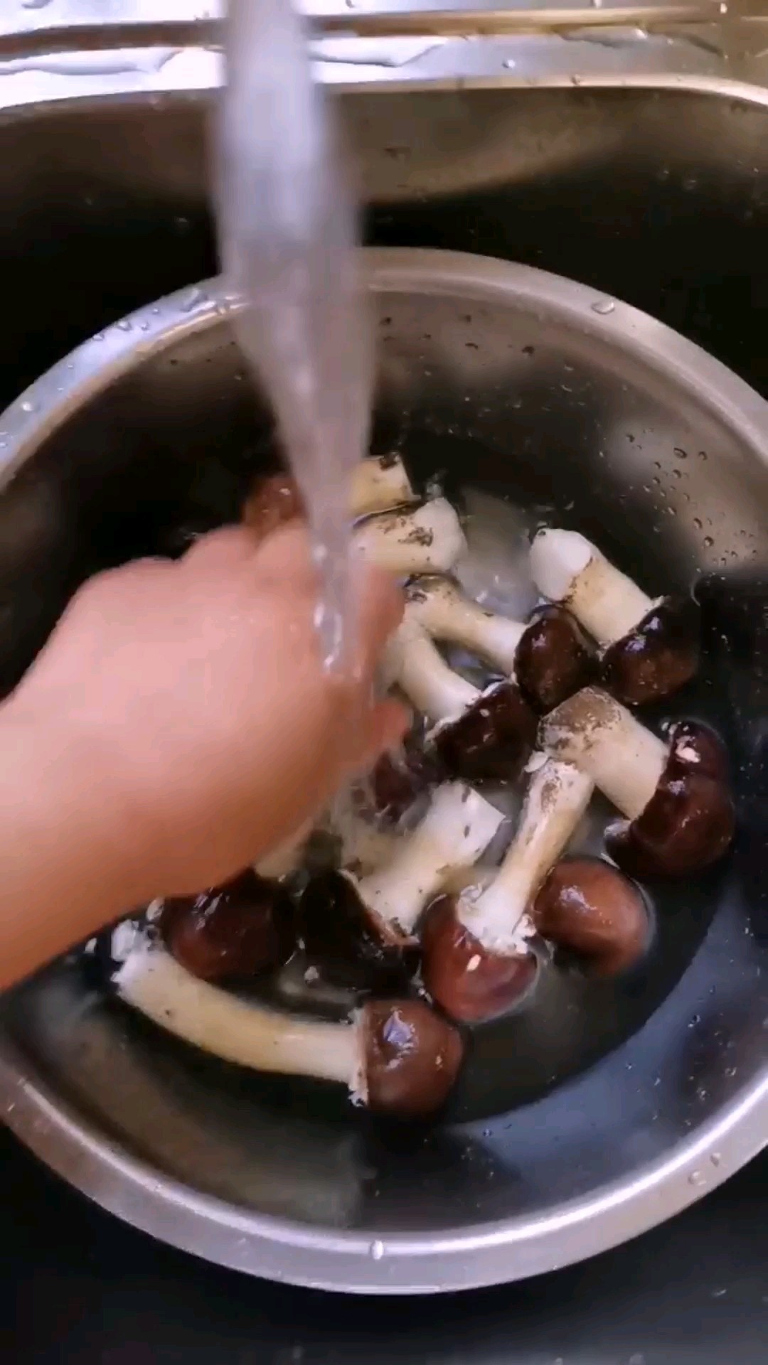 干煸松茸的做法-家常味煎菜譜-易網<a href=http://www.xllyou.com/ target=_blank class=infotextkey>健康養生</a>網 干煸松茸的做法-家常味煎菜譜