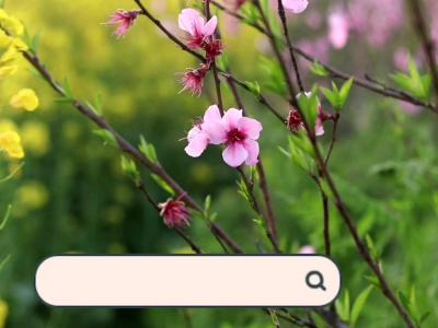 薯片雞翅的做法-咸鮮味烘焙菜譜