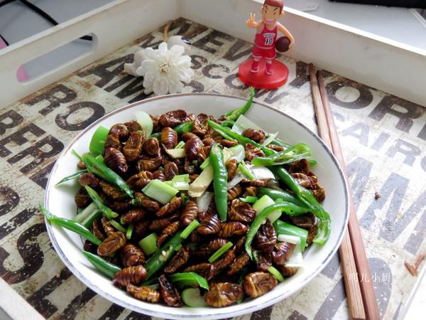 青椒炒蠶蛹的做法-家常味炒菜譜-易網(wǎng)健康養(yǎng)生網(wǎng) 青椒炒蠶蛹的做法-家常味炒菜譜