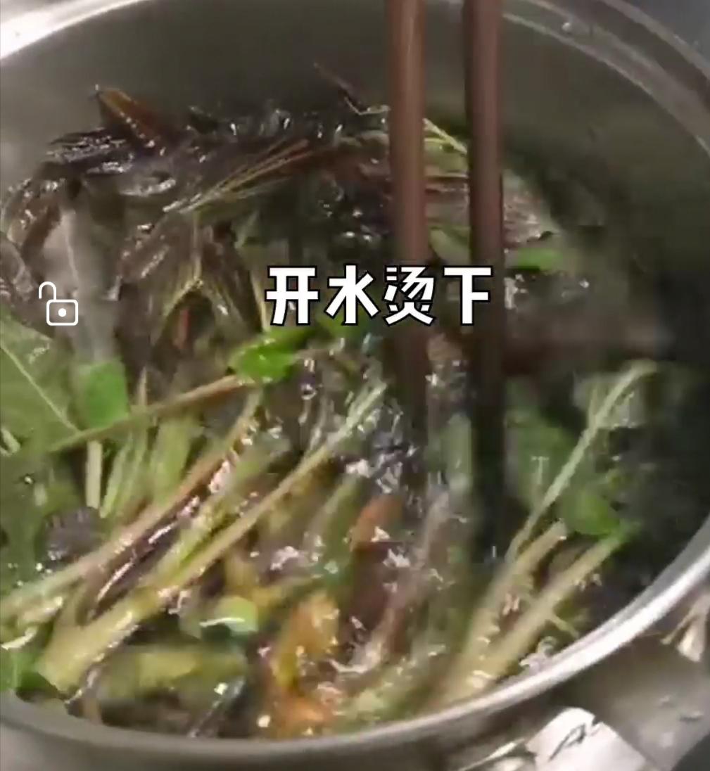 香椿炒雞蛋的做法-家常味炒菜譜-易網<a href=http://www.xllyou.com/ target=_blank class=infotextkey>健康養生</a>網 香椿炒雞蛋的做法-家常味炒菜譜