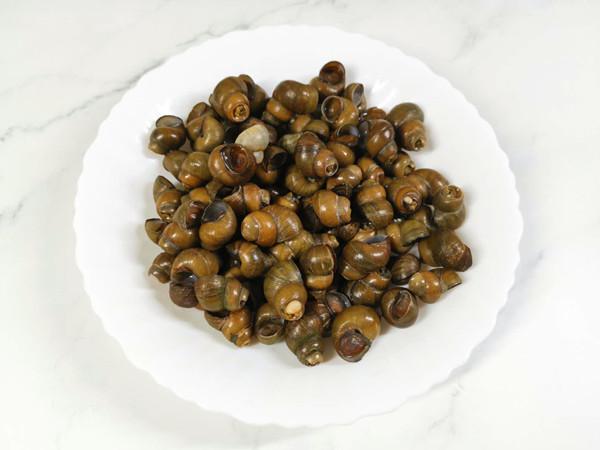 酸豆角炒田螺的做法-香辣味炒菜譜-易網<a href=http://www.xllyou.com/ target=_blank class=infotextkey>健康養生</a>網 酸豆角炒田螺的做法-香辣味炒菜譜