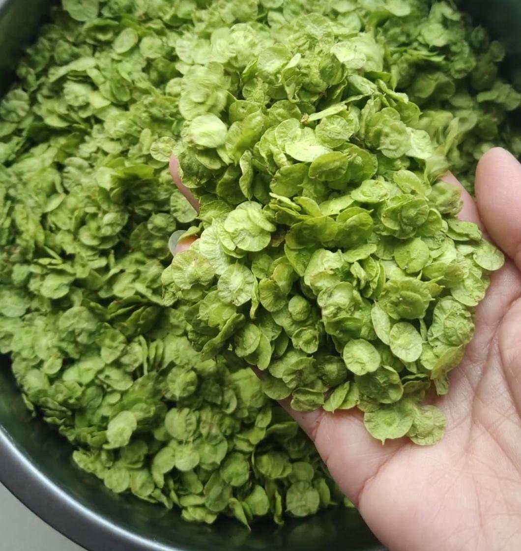 陽春三月的美食~蒸榆錢的做法-家常味蒸菜譜-易網健康養生網 陽春三月的美食~蒸榆錢的做法-家常味蒸菜譜