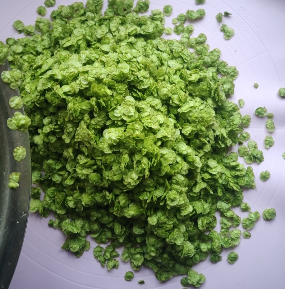 陽春三月的美食~蒸榆錢的做法-家常味蒸菜譜-易網健康養生網 陽春三月的美食~蒸榆錢的做法-家常味蒸菜譜