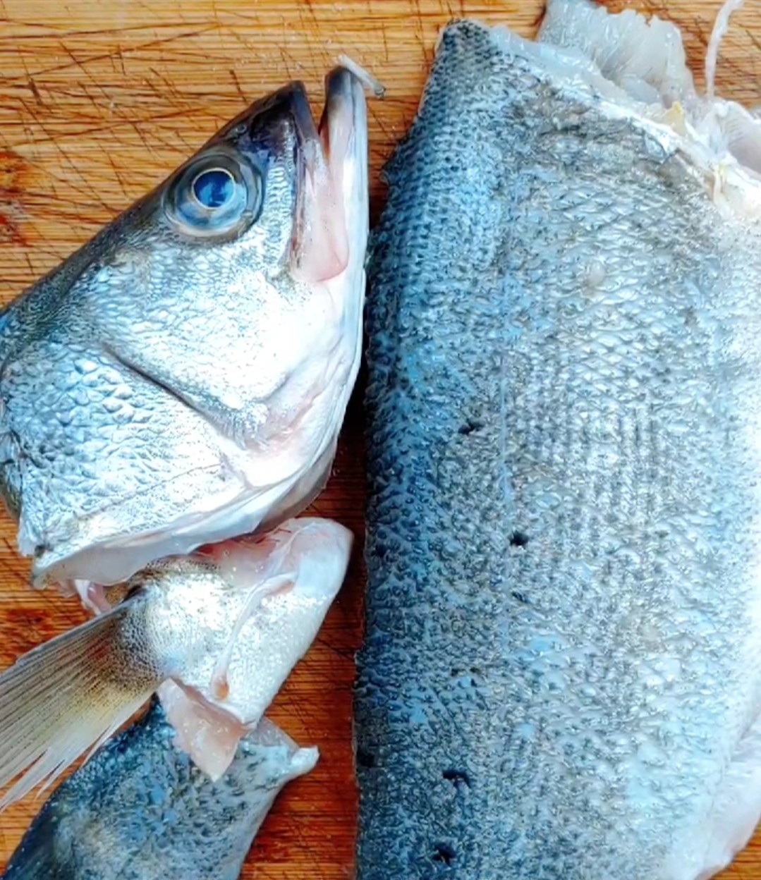 臭鱸魚的做法-其它口味其它工藝菜譜-易網<a href=http://www.xllyou.com/ target=_blank class=infotextkey>健康養(yǎng)生</a>網 臭鱸魚的做法-其它口味其它工藝菜譜