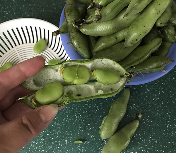 五香蠶豆的做法-五香味煮菜譜-易網(wǎng)健康養(yǎng)生網(wǎng) 五香蠶豆的做法-五香味煮菜譜