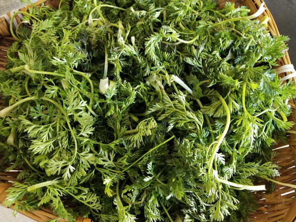 蒸野蘿卜纓的做法-家常味蒸菜譜-易網健康養生網 蒸野蘿卜纓的做法-家常味蒸菜譜