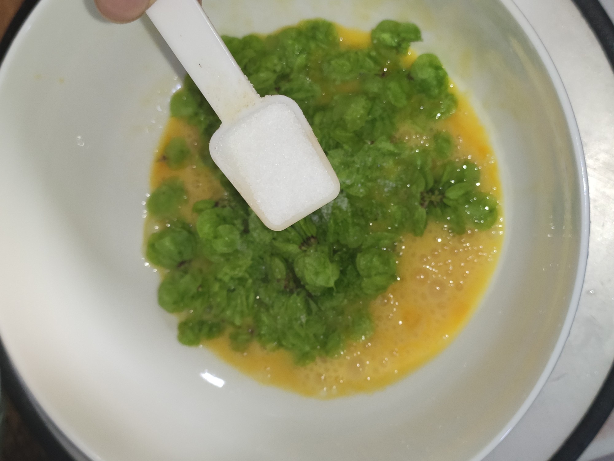 榆樹錢煎蛋的做法-咸鮮味煎菜譜-易網健康養生網 榆樹錢煎蛋的做法-咸鮮味煎菜譜