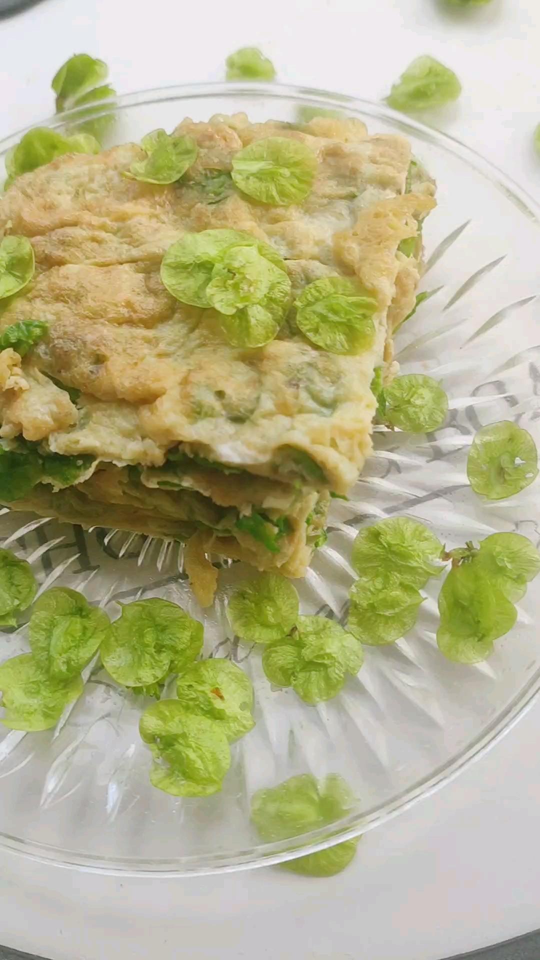 榆樹錢煎蛋的做法-咸鮮味煎菜譜