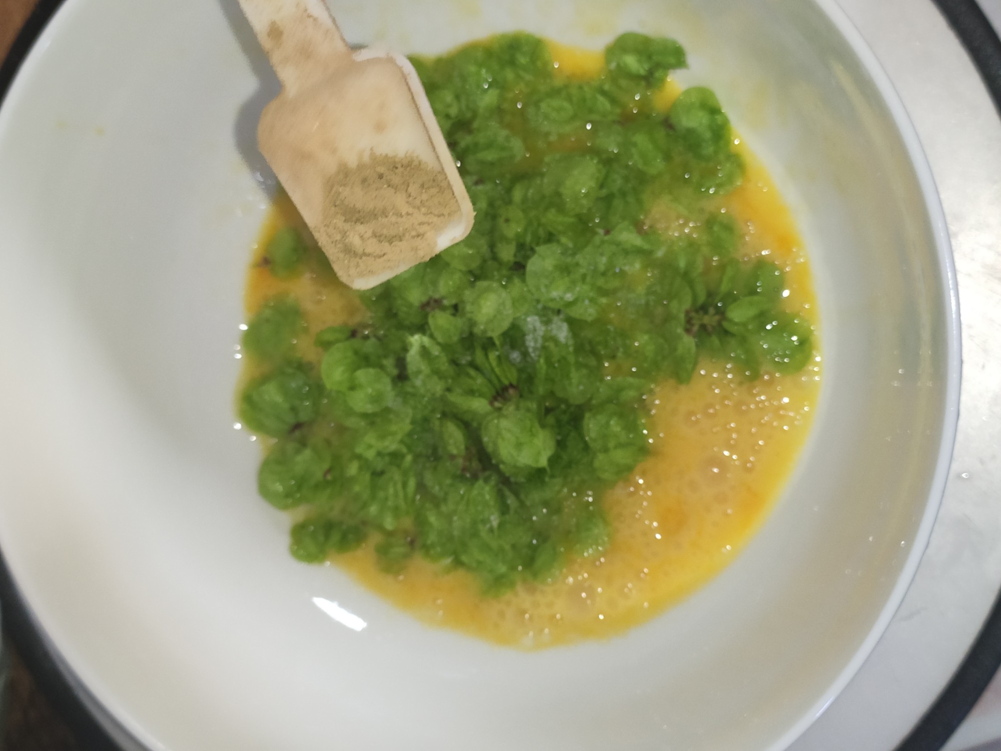 榆樹錢煎蛋的做法-咸鮮味煎菜譜-易網健康養生網 榆樹錢煎蛋的做法-咸鮮味煎菜譜